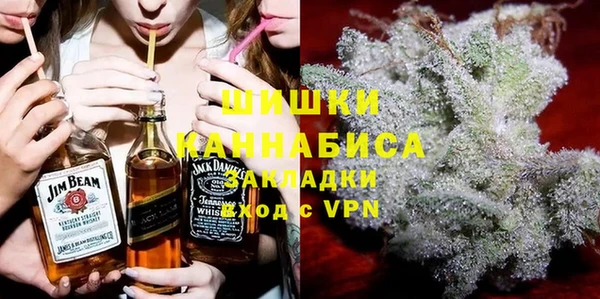 ПСИЛОЦИБИНОВЫЕ ГРИБЫ Новозыбков
