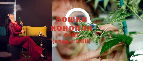 дживик Новокубанск