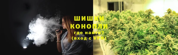 твердый Новодвинск