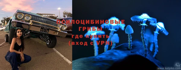 твердый Новодвинск