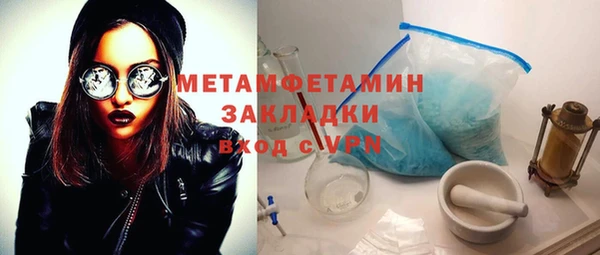 ПСИЛОЦИБИНОВЫЕ ГРИБЫ Новозыбков