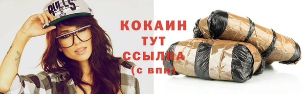 ПСИЛОЦИБИНОВЫЕ ГРИБЫ Новозыбков