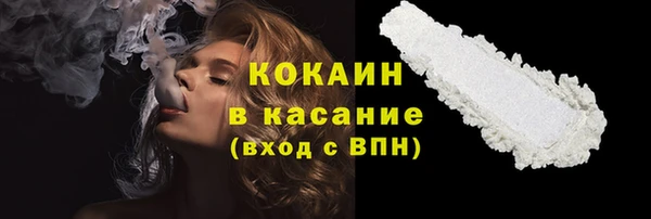 ПСИЛОЦИБИНОВЫЕ ГРИБЫ Новозыбков