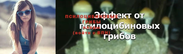 дживик Новокубанск