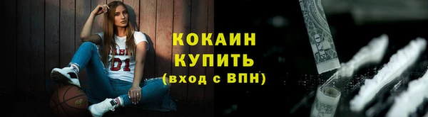 твердый Новодвинск