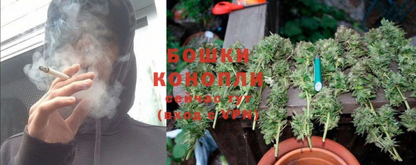 ПСИЛОЦИБИНОВЫЕ ГРИБЫ Новозыбков