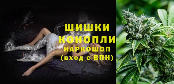 твердый Новодвинск