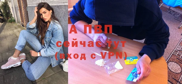 ПСИЛОЦИБИНОВЫЕ ГРИБЫ Новозыбков
