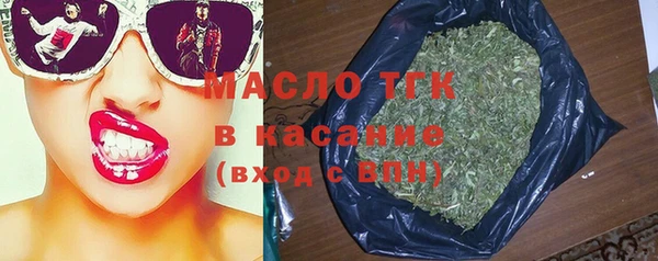 твердый Новодвинск