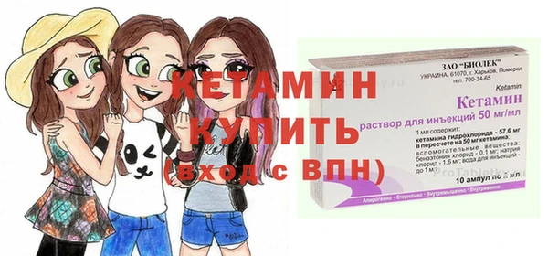 твердый Новодвинск