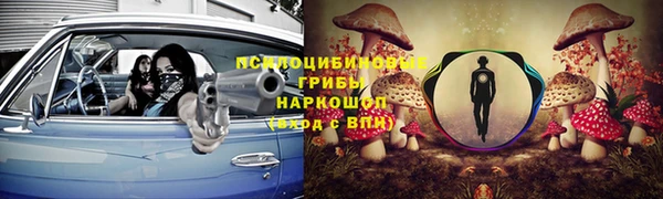 дживик Новокубанск