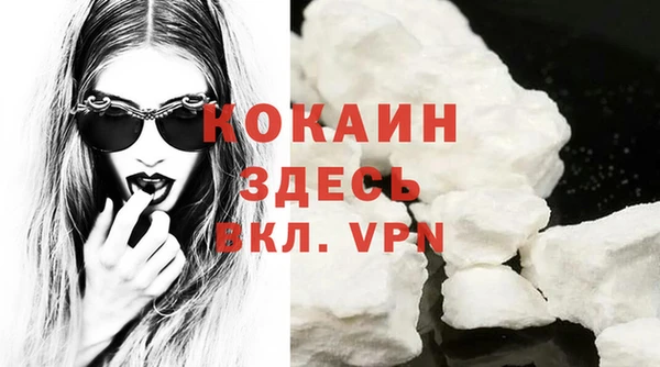 ПСИЛОЦИБИНОВЫЕ ГРИБЫ Новозыбков