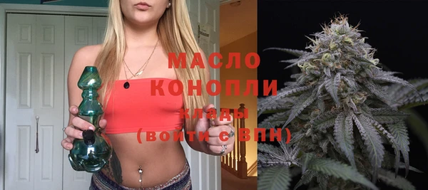 твердый Новодвинск